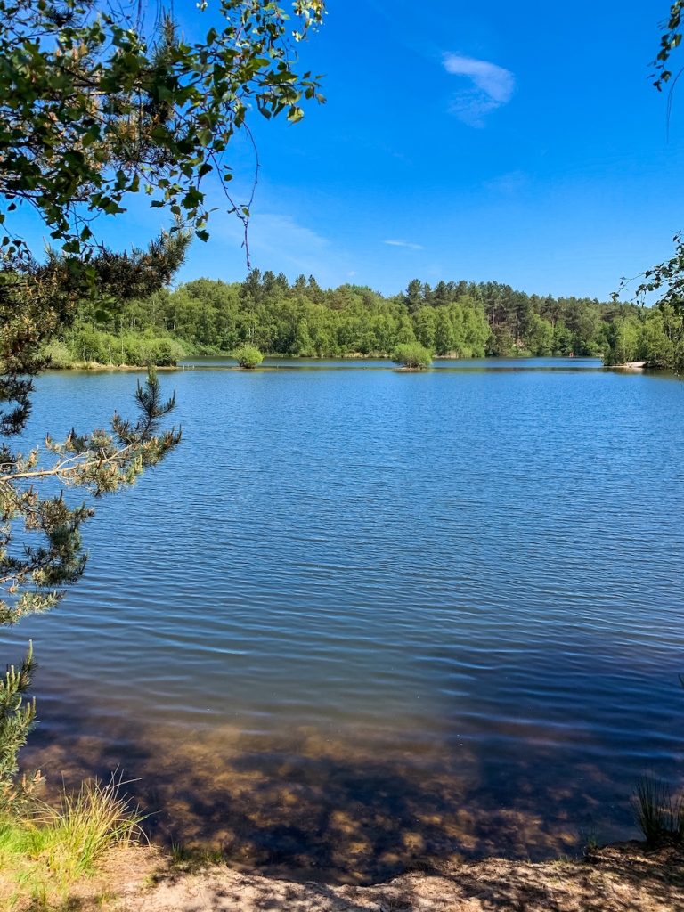 Lommelse sahara belgisch limburg