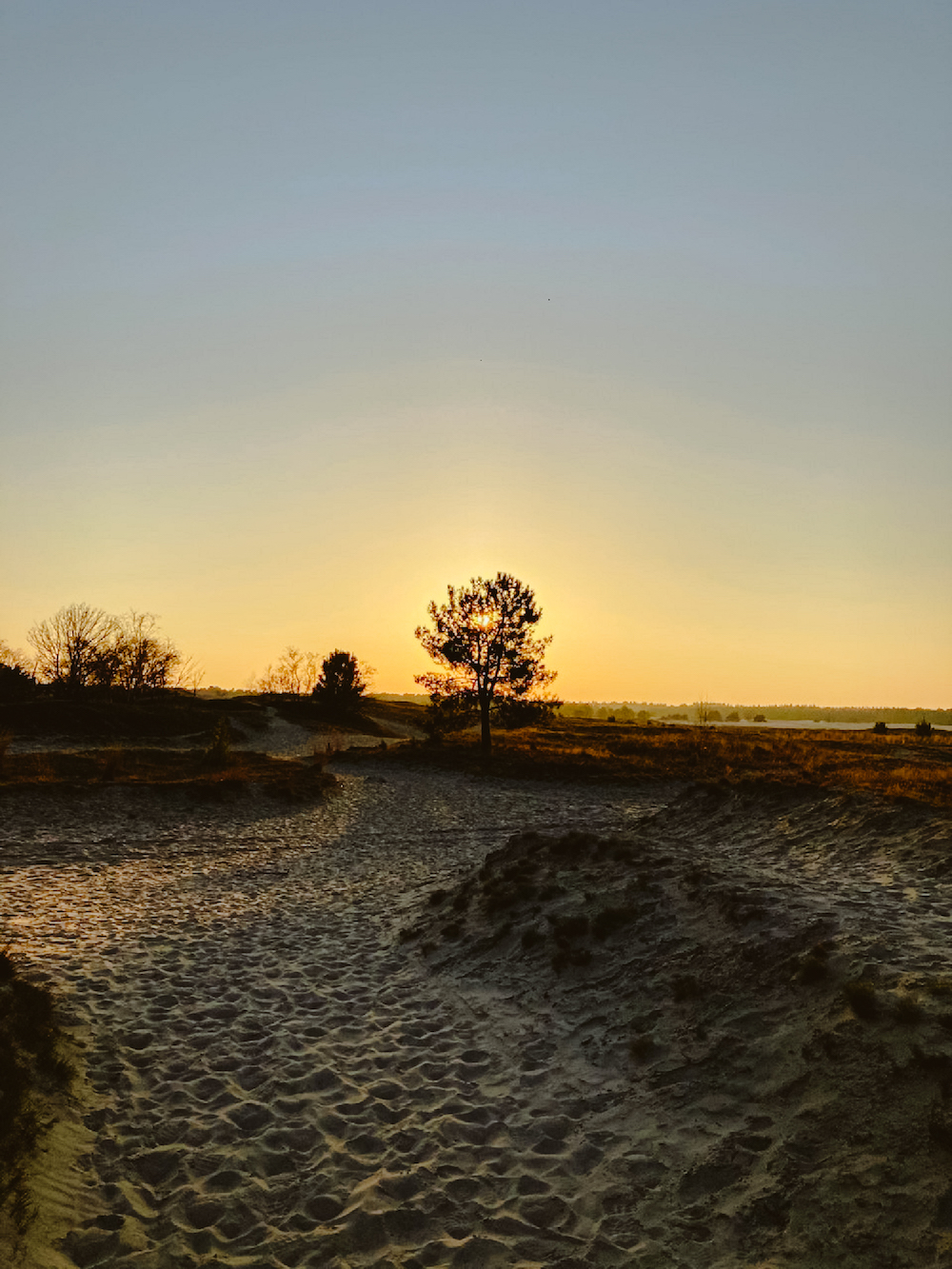 Loonse en Drunense Duinen, wandelroutes Brabant