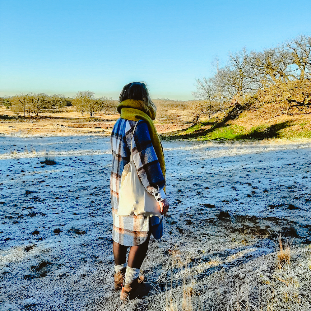 Loonse en Drunense duinen, wandelen in Brabant