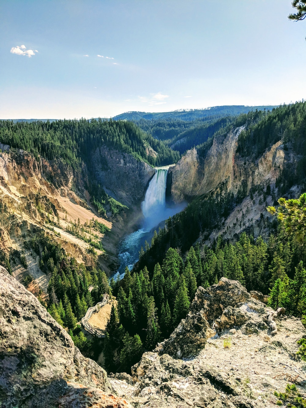 Lower Falls Yellowstone National Park