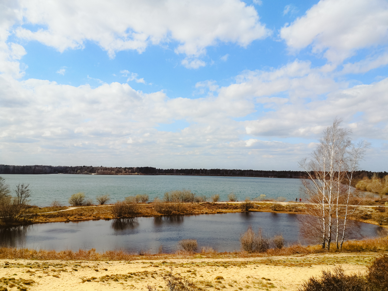 Maasduinen Limburg