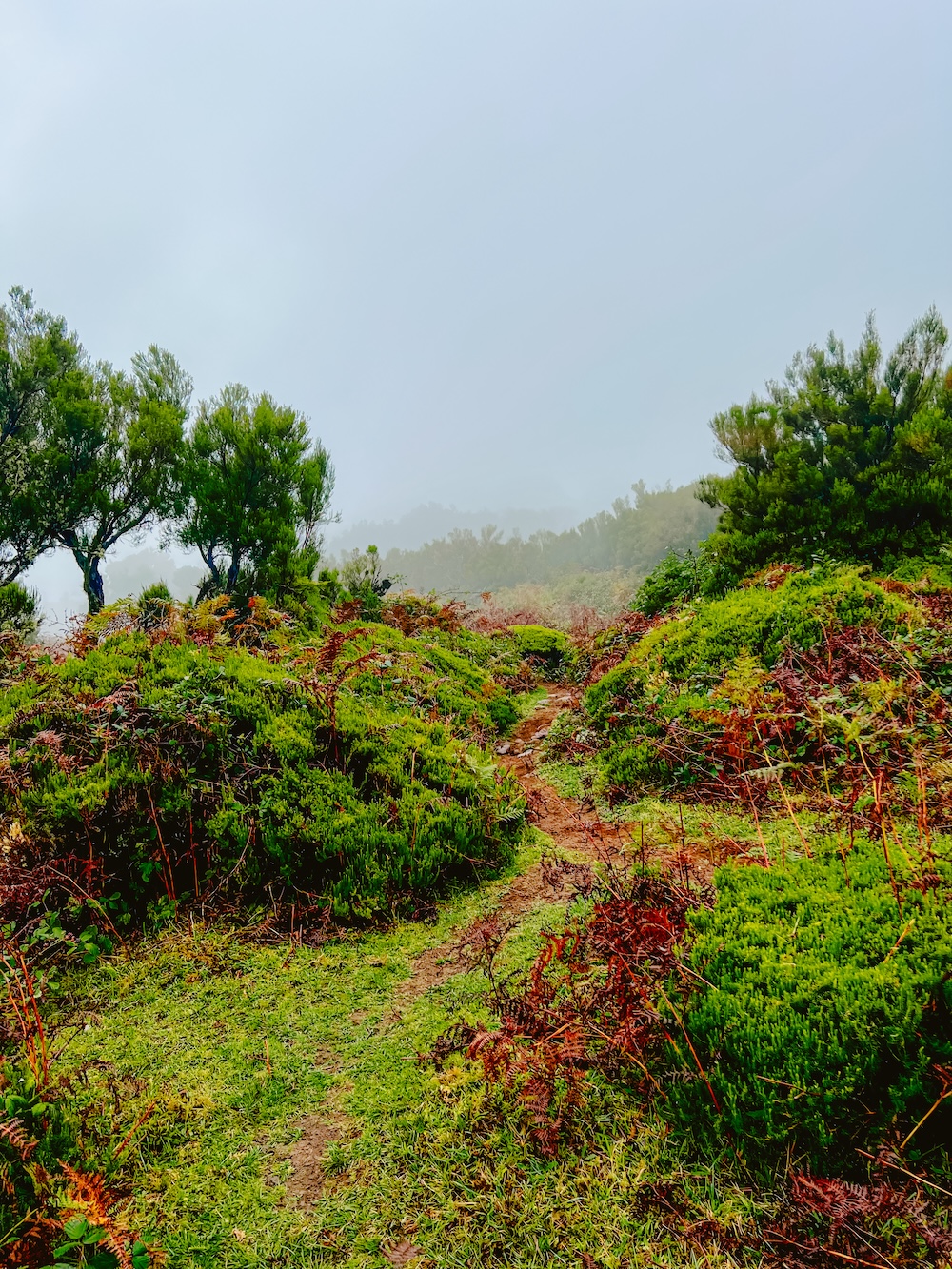 Madeira landschap