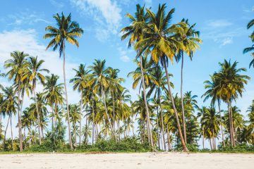 Mafia Island Tanzania