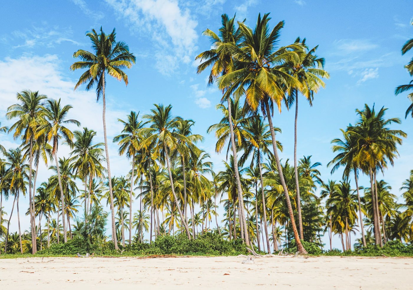 Mafia Island Tanzania