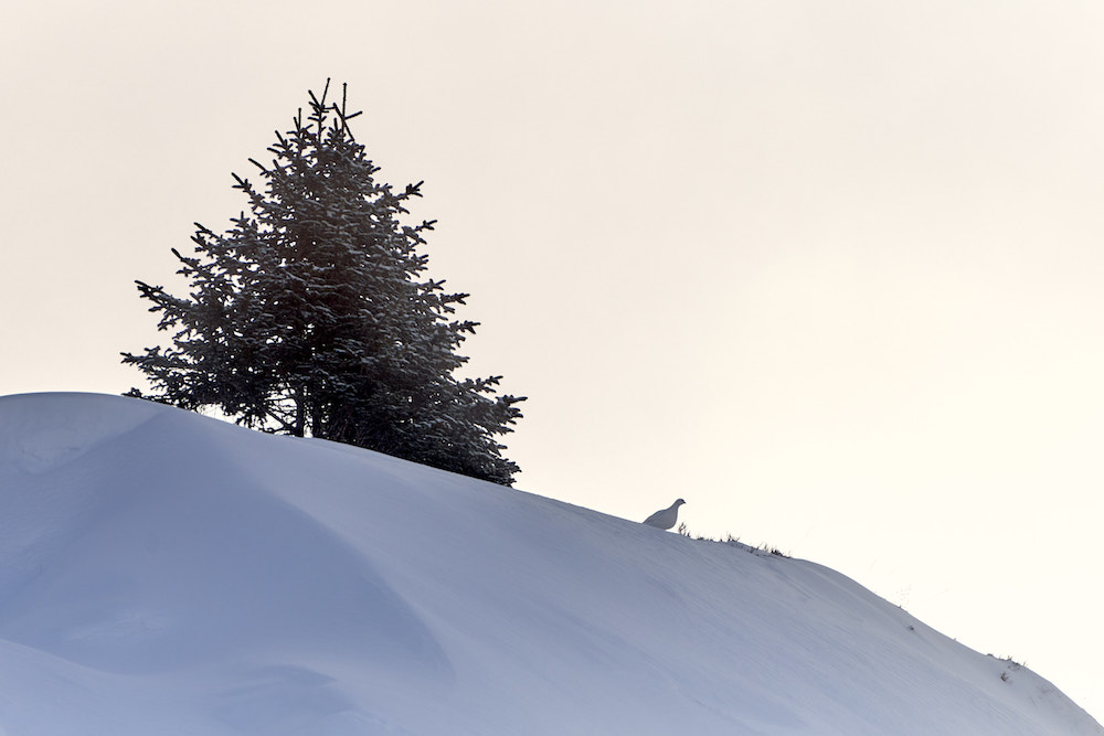 Magisch Oz-en-Oisans