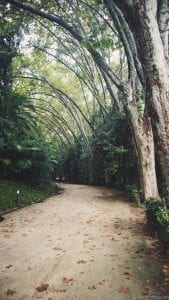 Malaga-botanic-garden