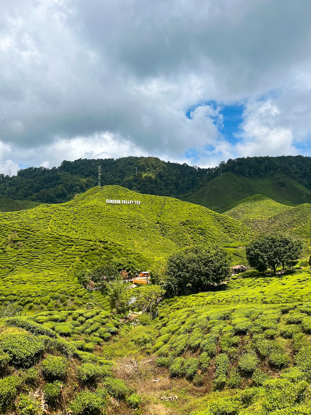 Maleisië Cameron Highlands