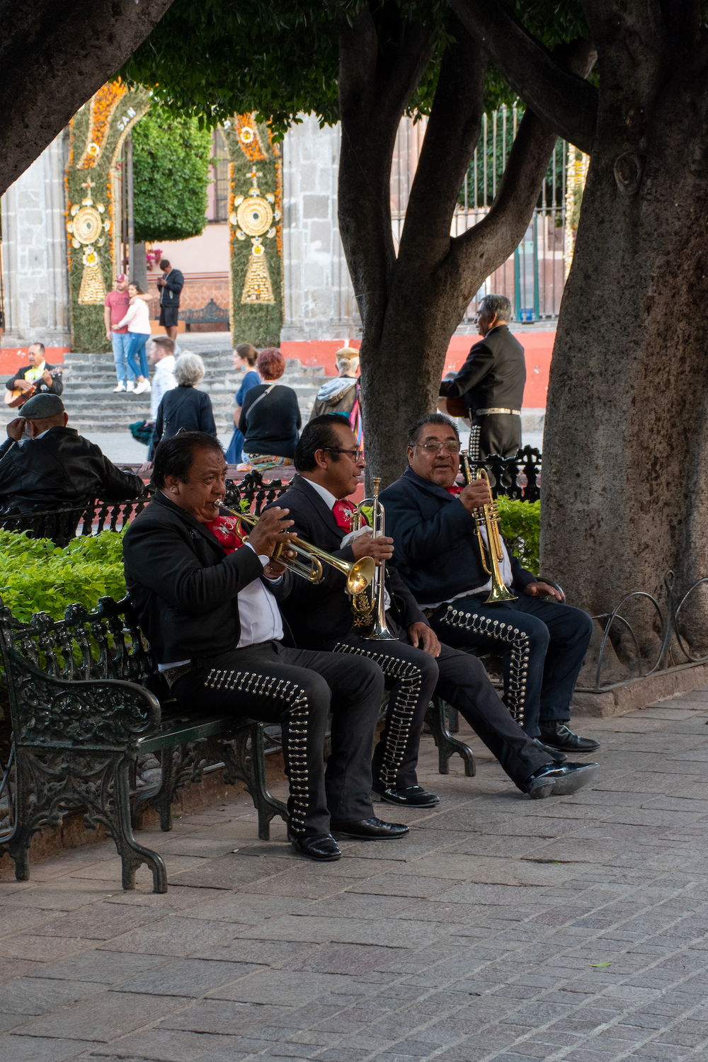 Mariachi in San Miguel