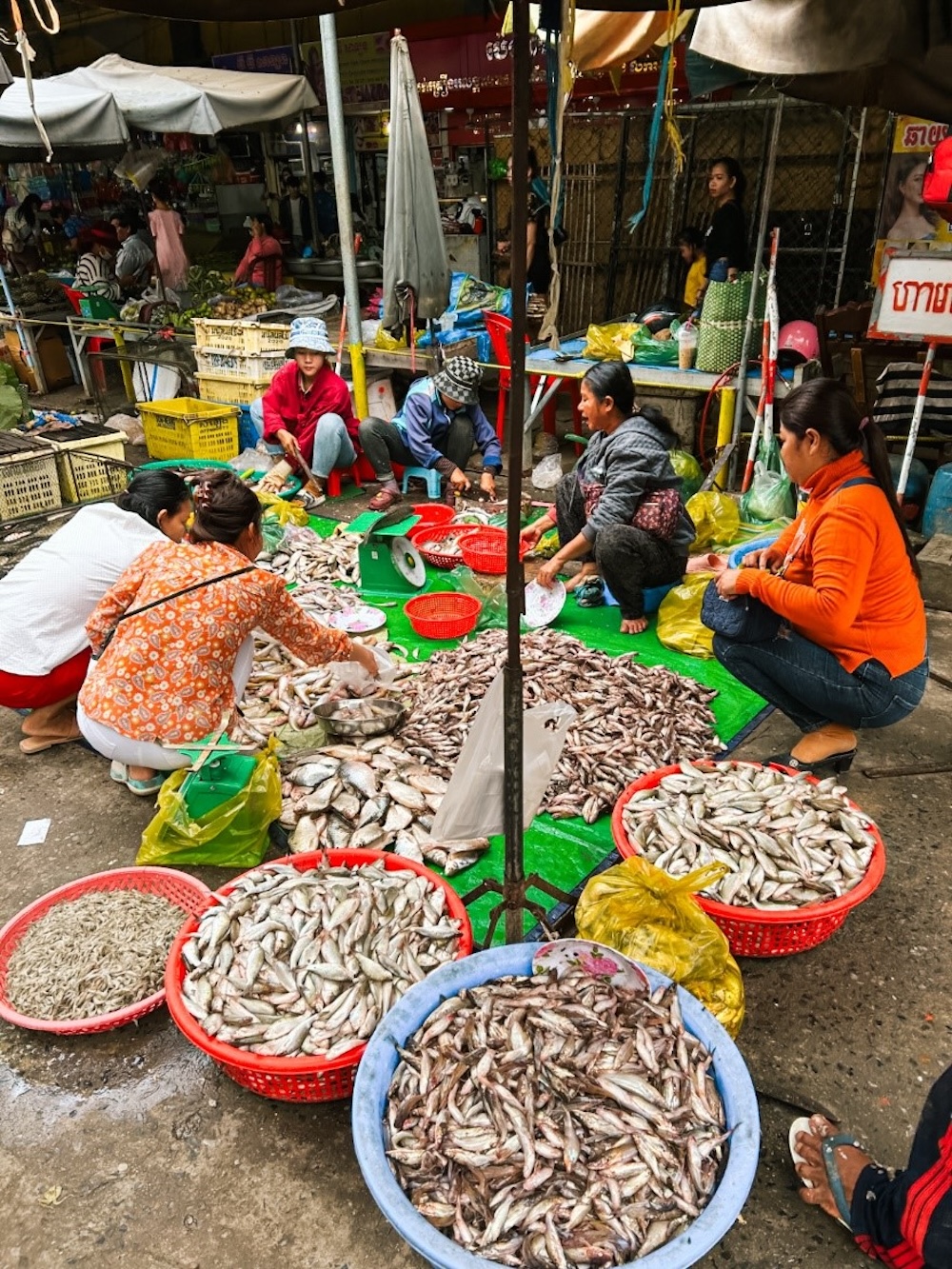 Markt in Battambang