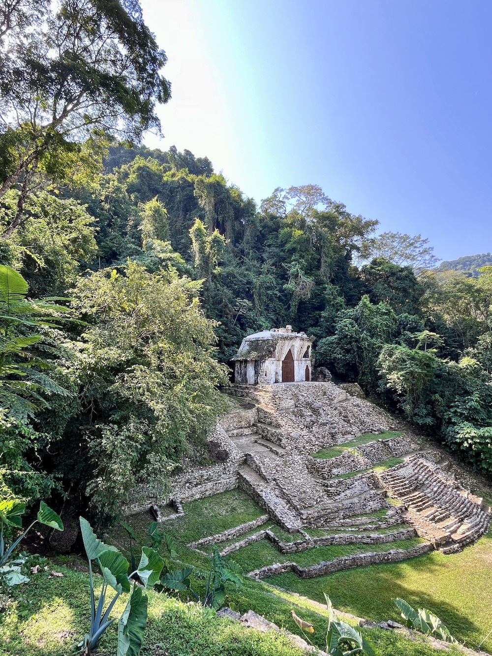 Maya stad Palenque tempel