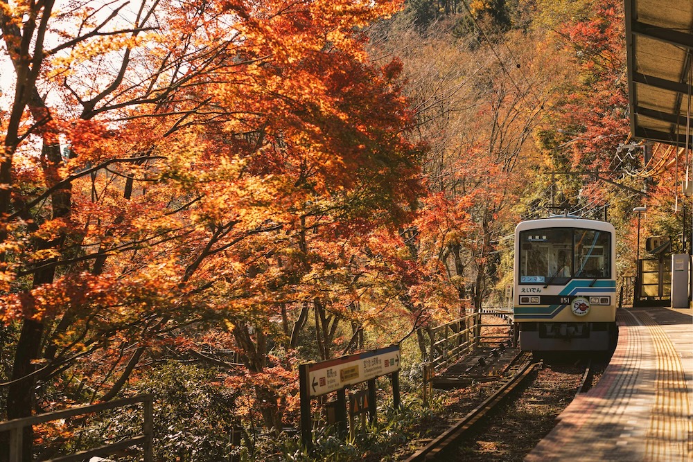 Met de trein naar Kyoto