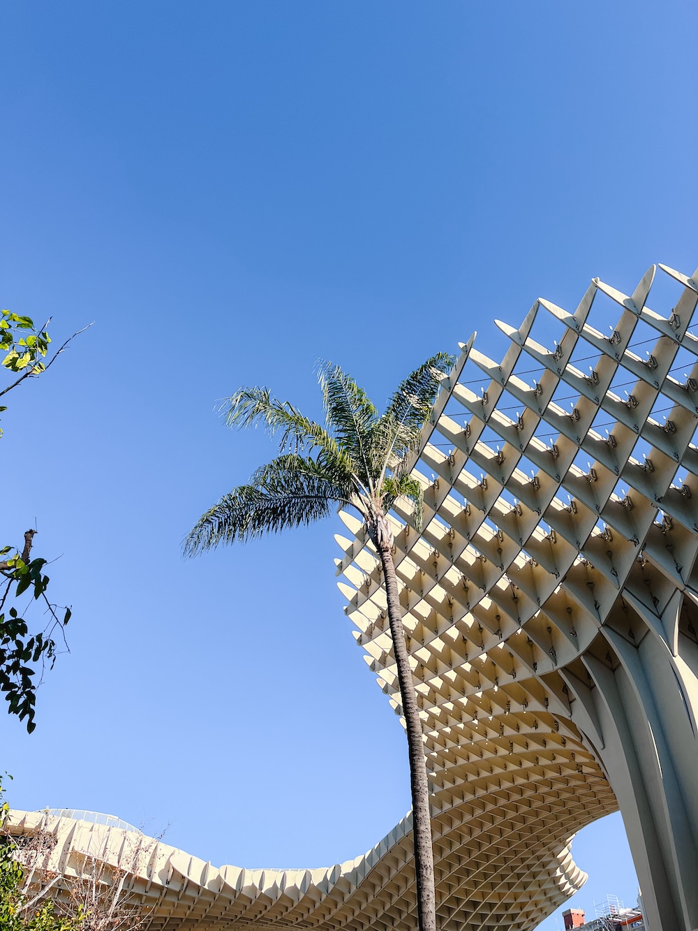 Metropol Parasol