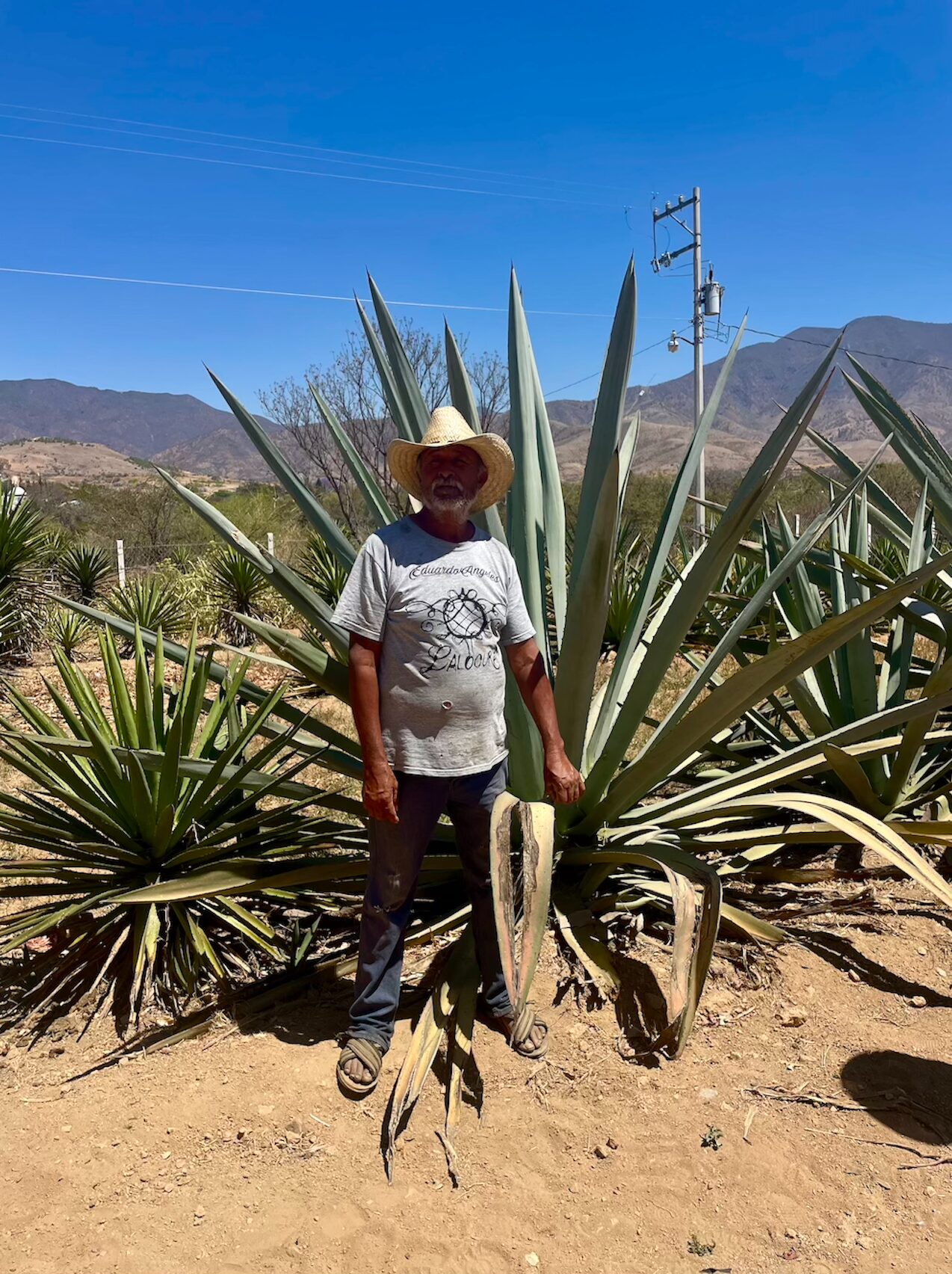 Mezcal boerderij Oaxaca