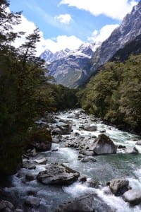 Milford Sound backpacken nieuw zeeland