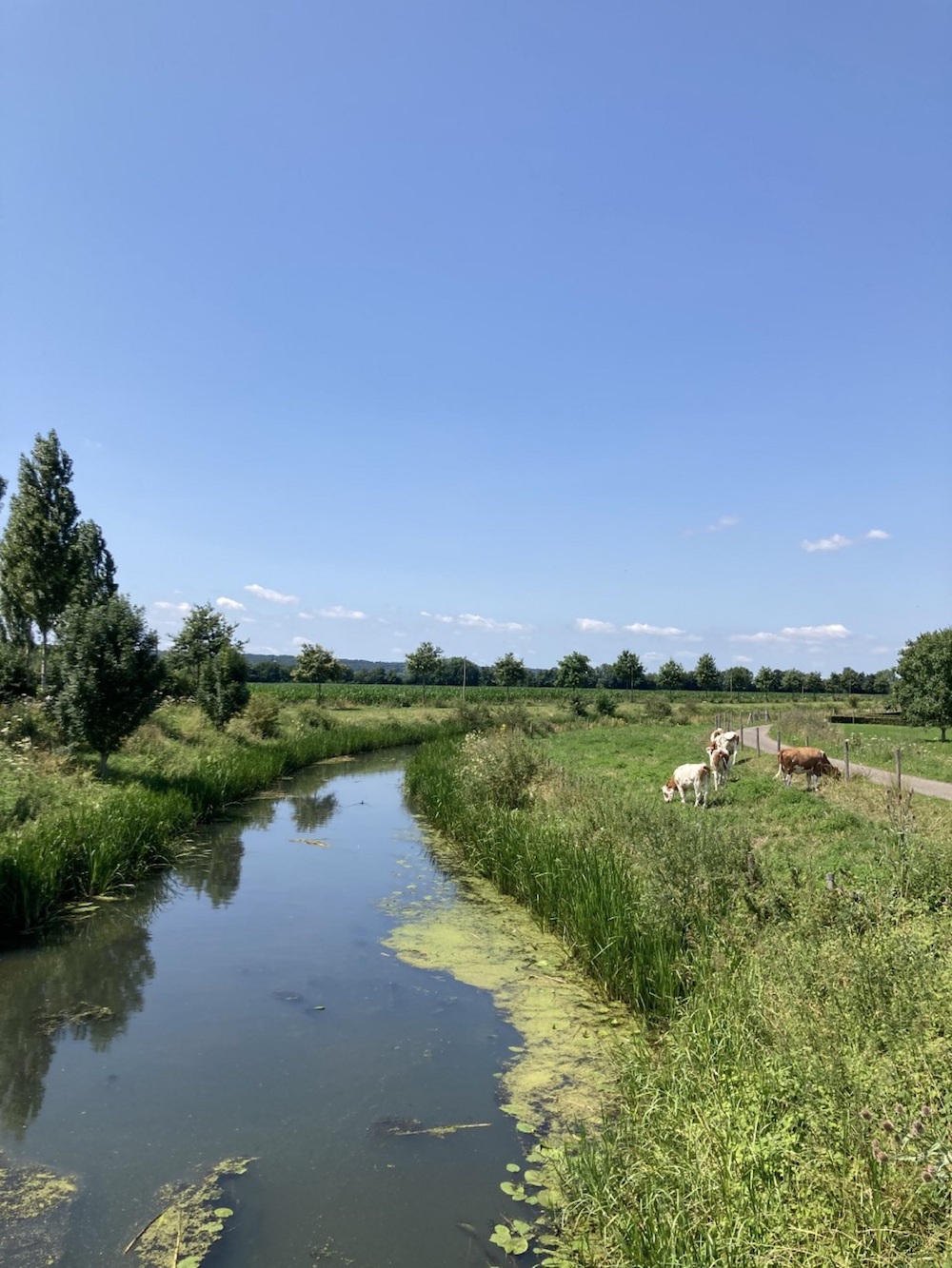 Millingen aan de rijn tot Groesbeek