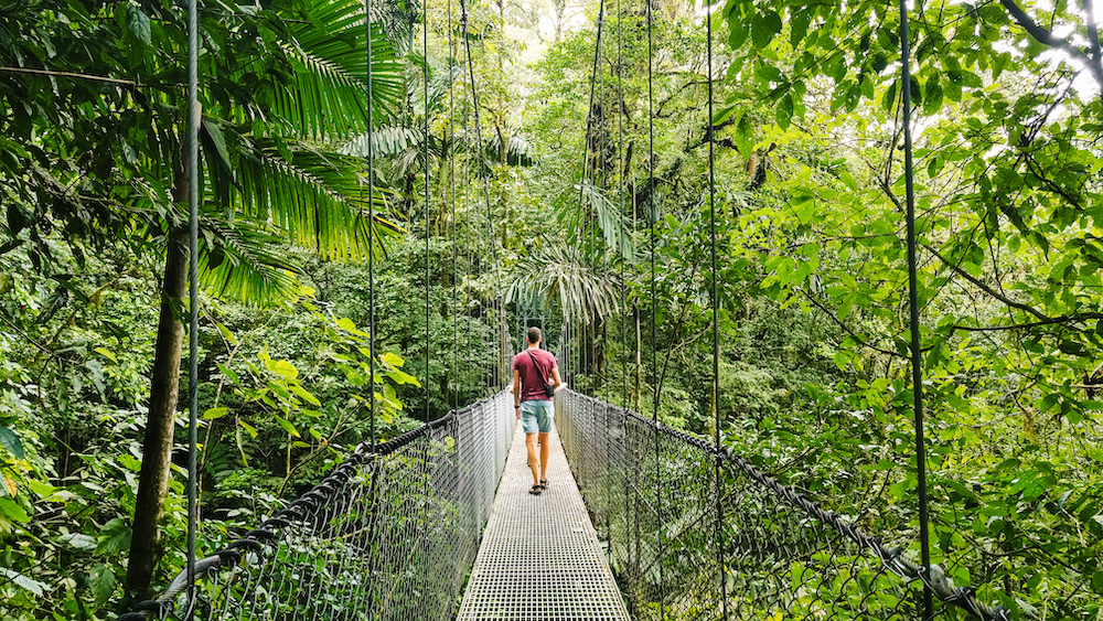 Mistico Arenal Hanging Bridges