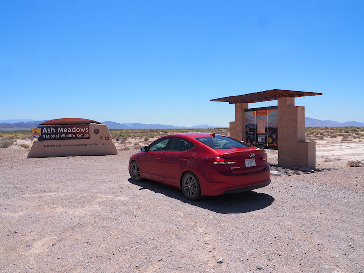 Ash Meadows mojave woestijn