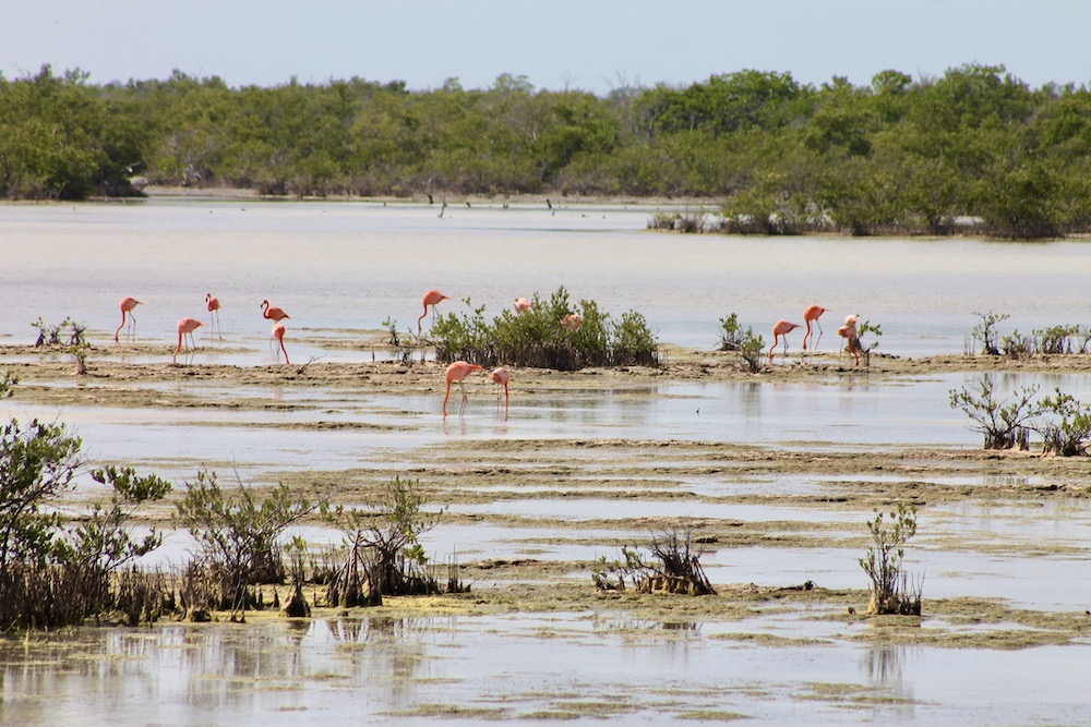 Montemar National Park