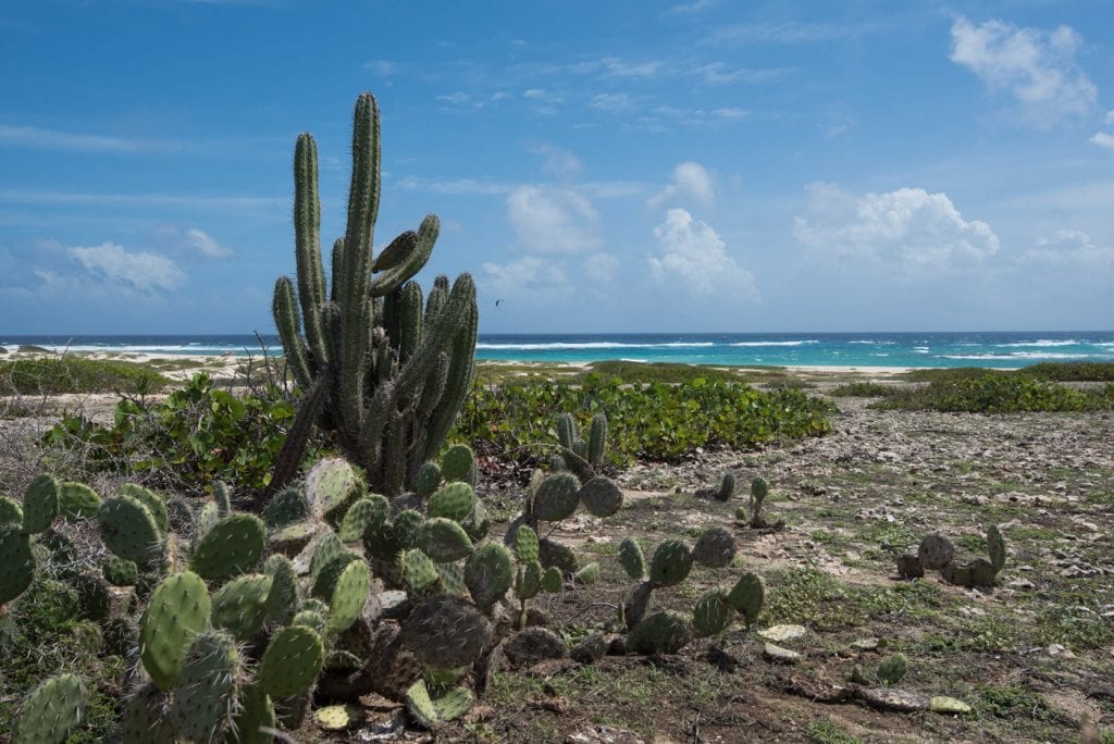 Mooiste stranden Aruba boca grandi