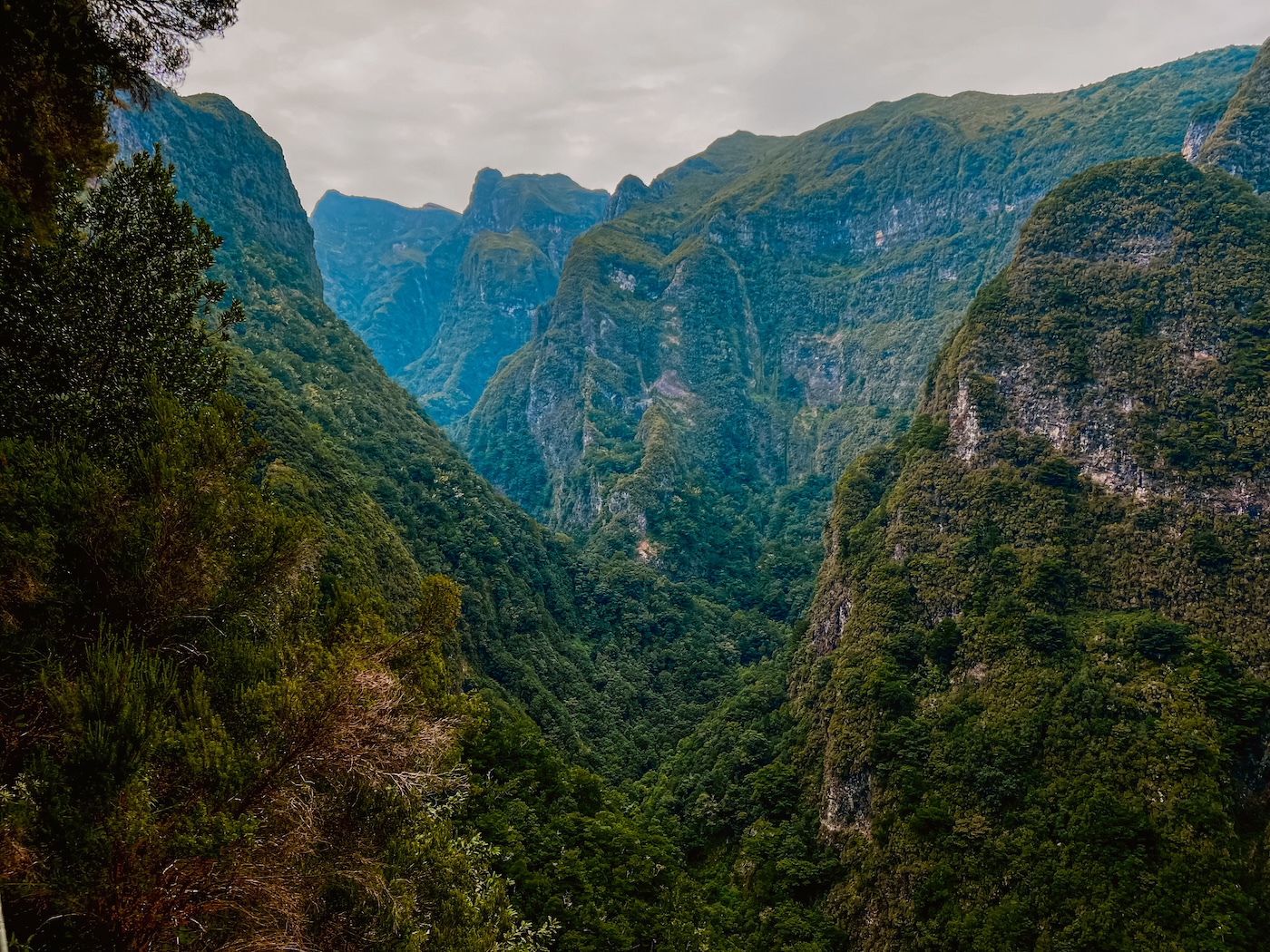 Mooiste wandelingen Madeira