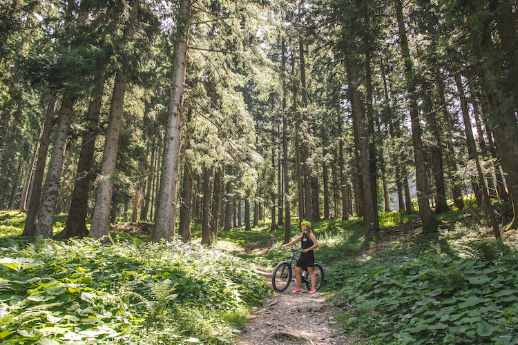 Mountainbiken salzburg oostenrijk