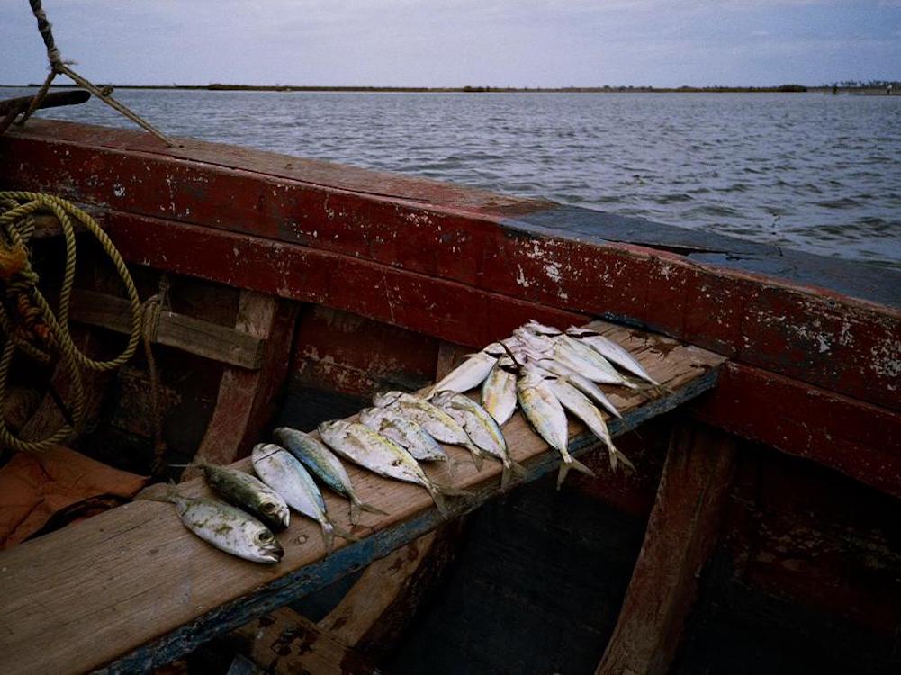 Mozambique excursie boottocht varen