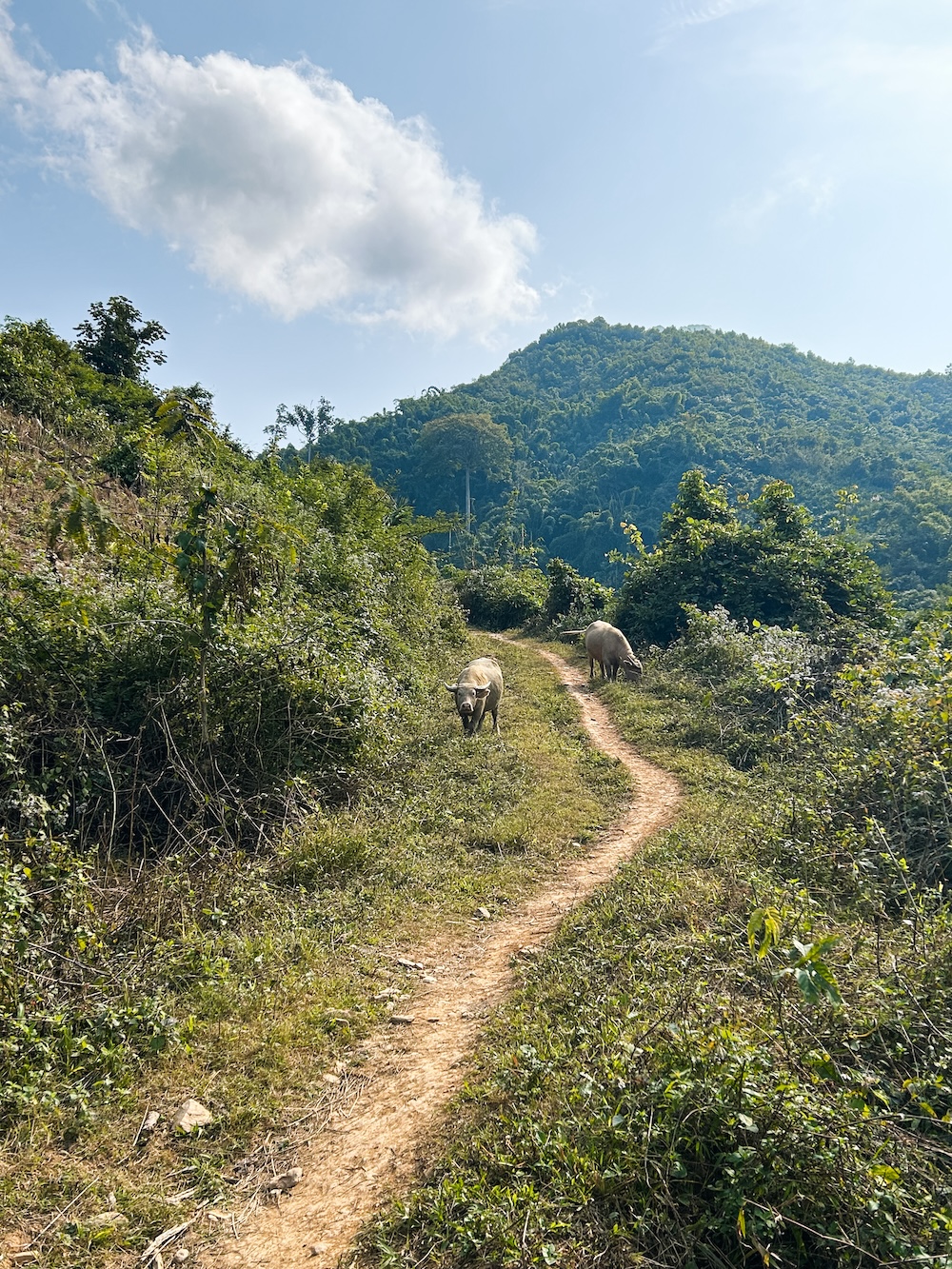 Muang Ngoy viewpoint, Nong Khiaw