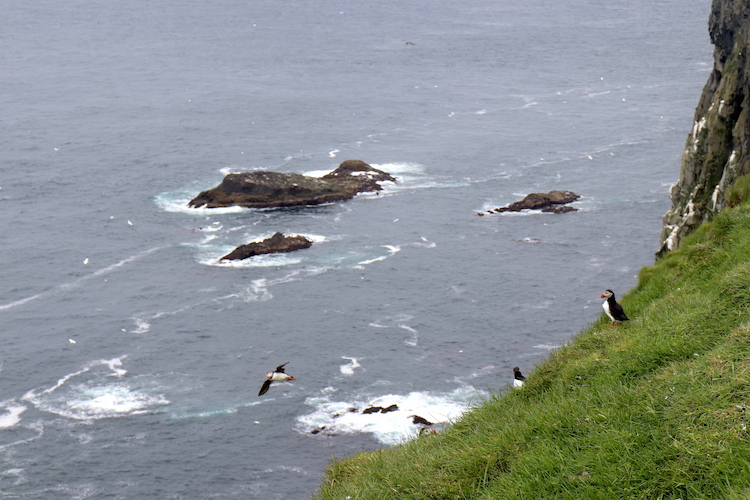 Mykines faroer eilanden