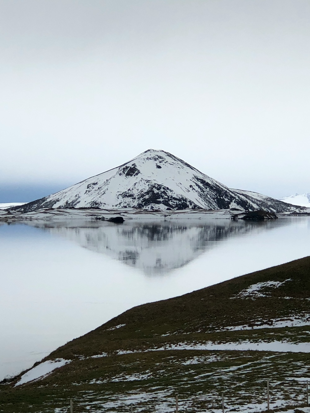 Mývatn, IJsland natuur