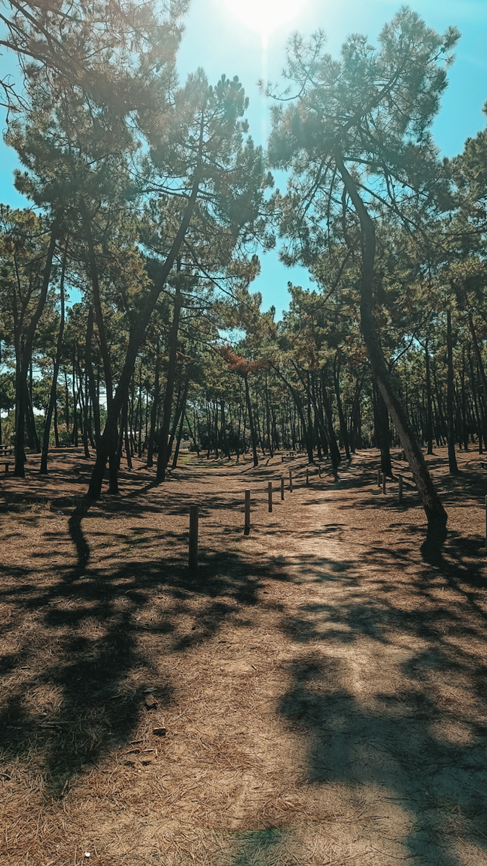 Nantes duinen faute sur mer