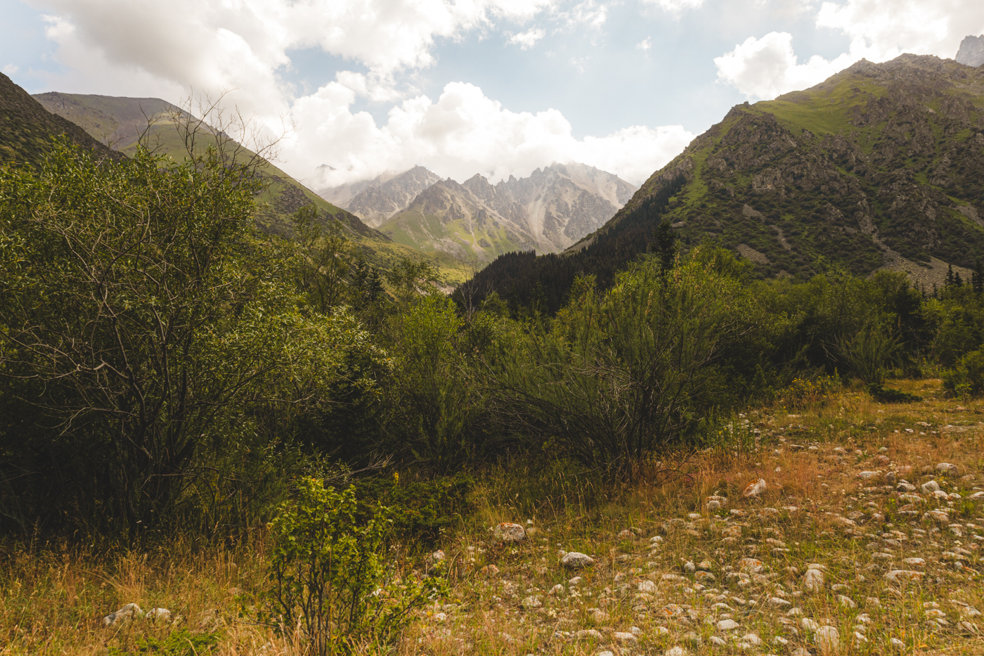 Nationaal Park Ala Archa Kyrgyzstan