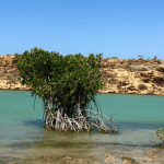 Natuur Punta Gallinas colombia