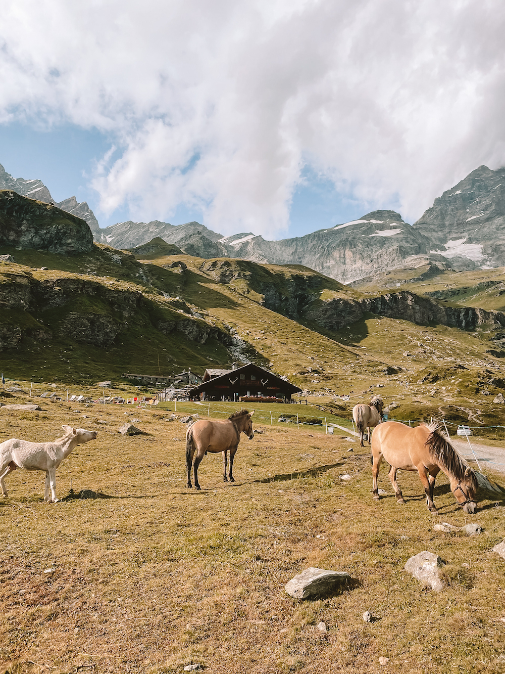 Natuur bij Breuil-Cervinia