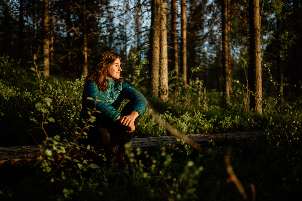 Natuur in fins lapland in de zomer