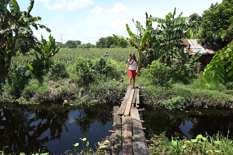 Natuur in west-kalimantan borneo