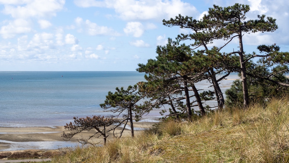 Natuur van Terschelling