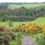 Pentland National park Schotland