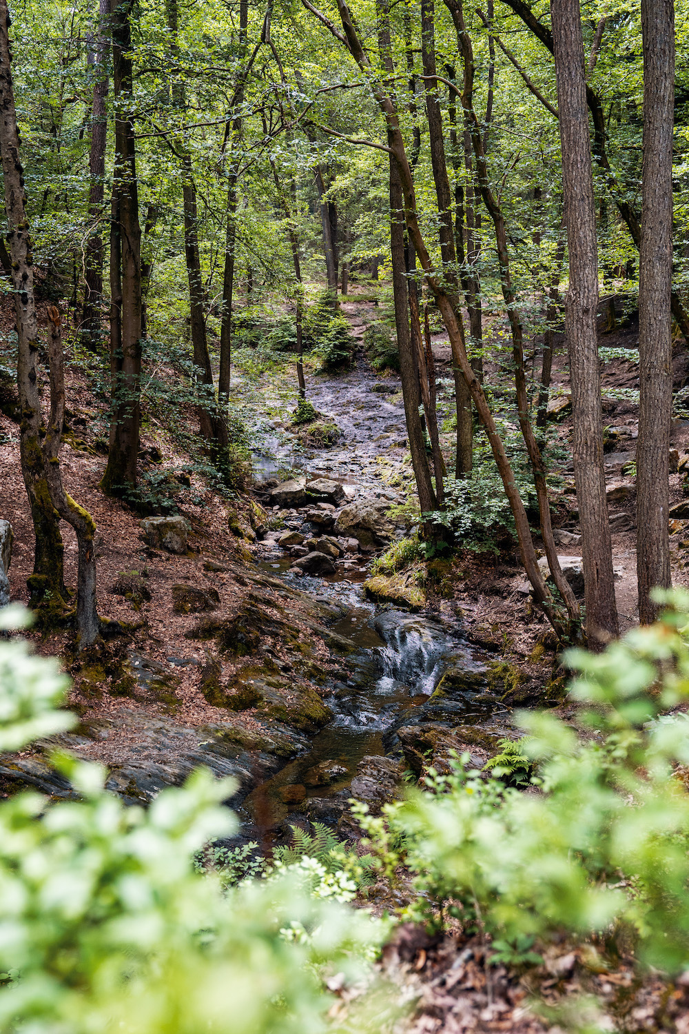 Ninglinspo, Ardennen