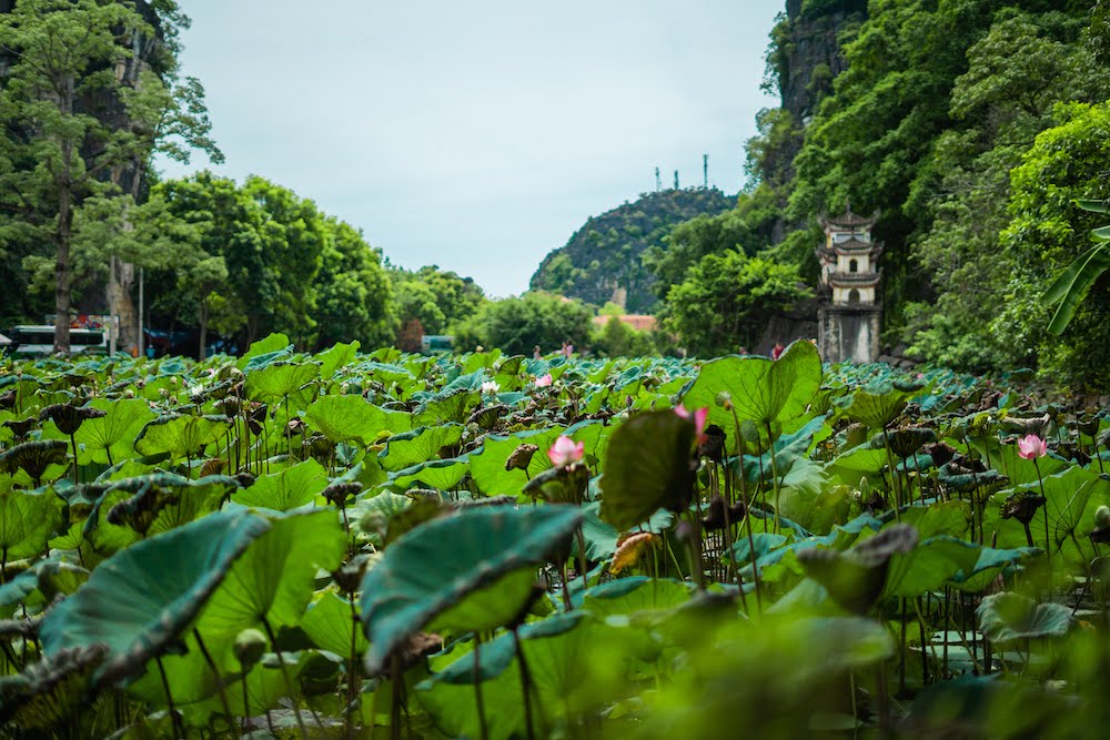 Ninh Binh, Bich Dong