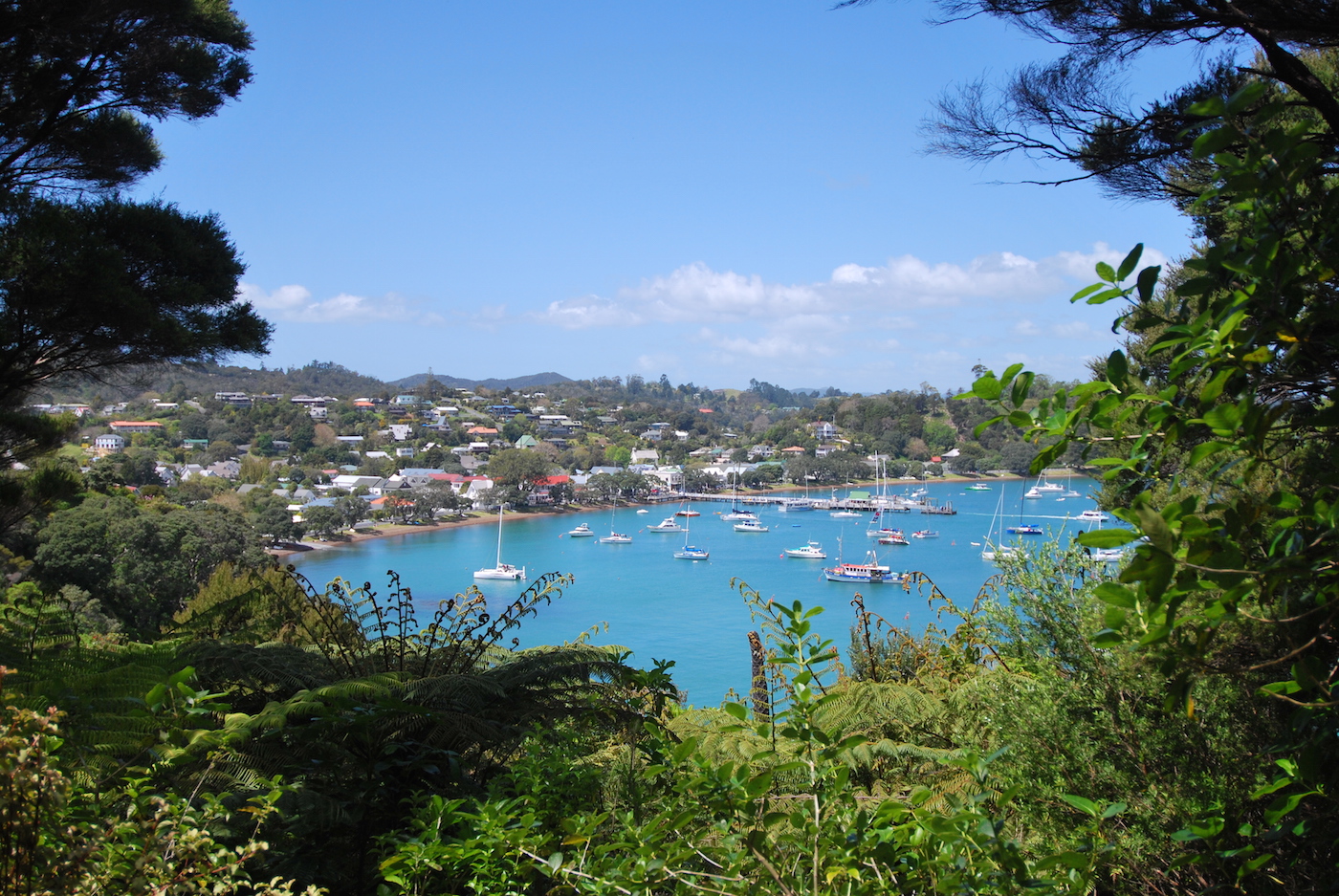 Northland Nieuw-zeeland Bay of Islands Russell