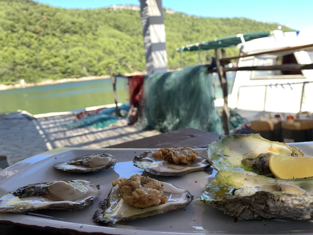 Oesters highlights kroatie