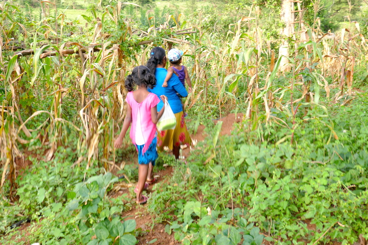 Off the beaten track sri lanka Kudawewa