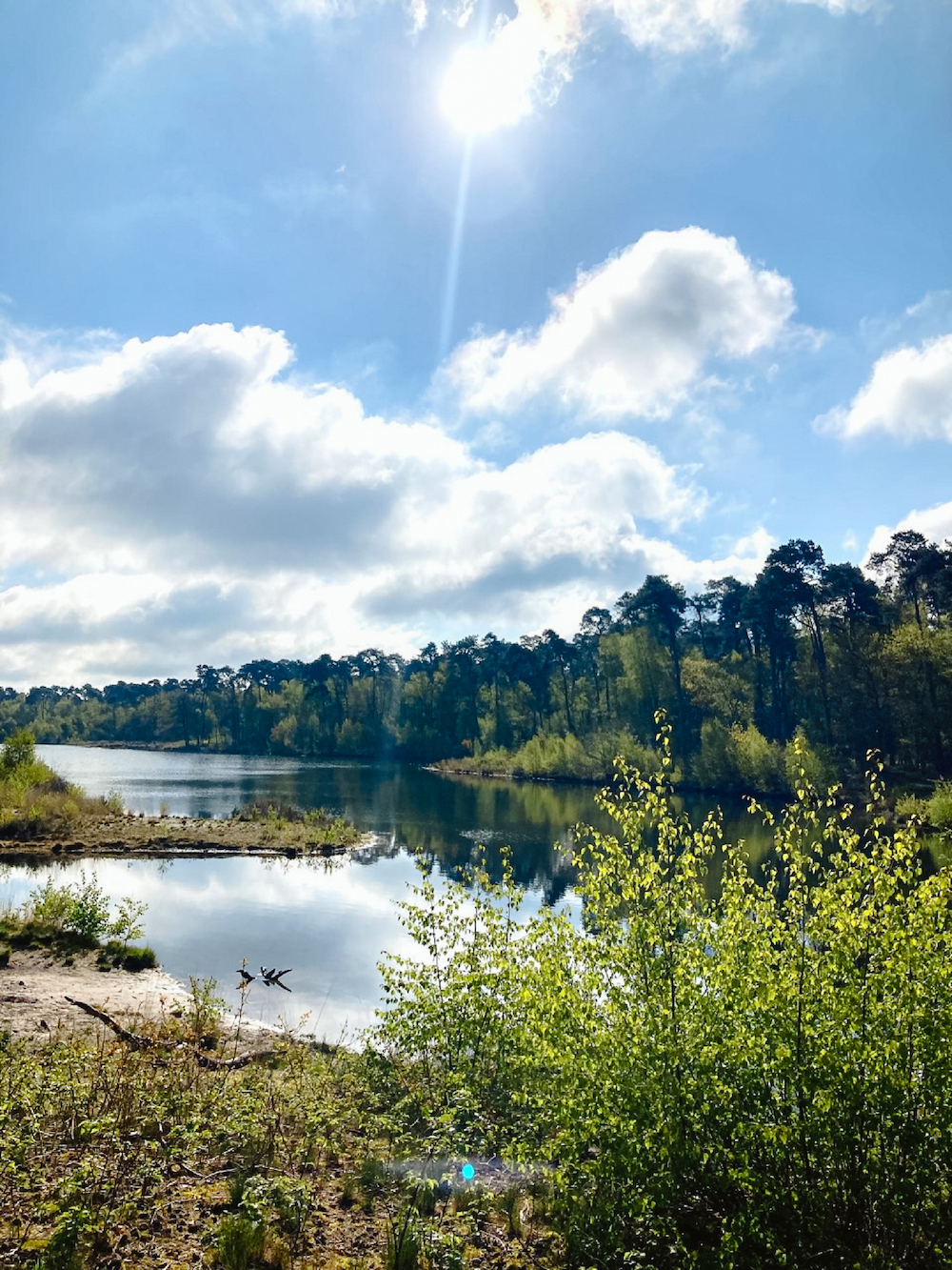 Oisterwijk, wandelen in Brabant