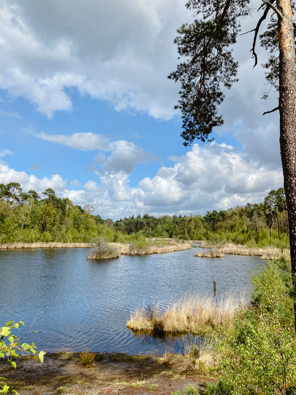 Oisterwijk