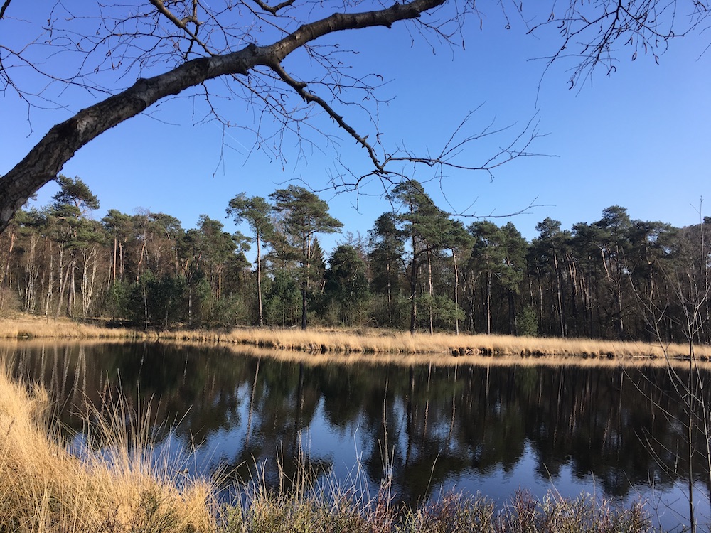 Oisterwijkse Bossen en Vennen