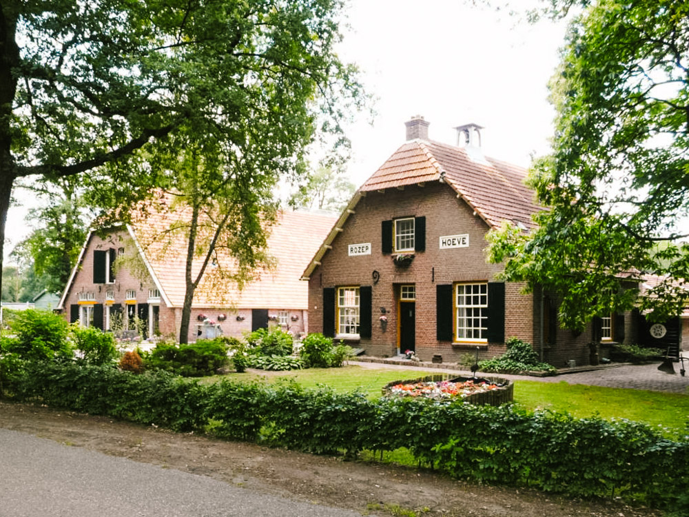 Oisterwijkse Vennen Bossen rozephoeve