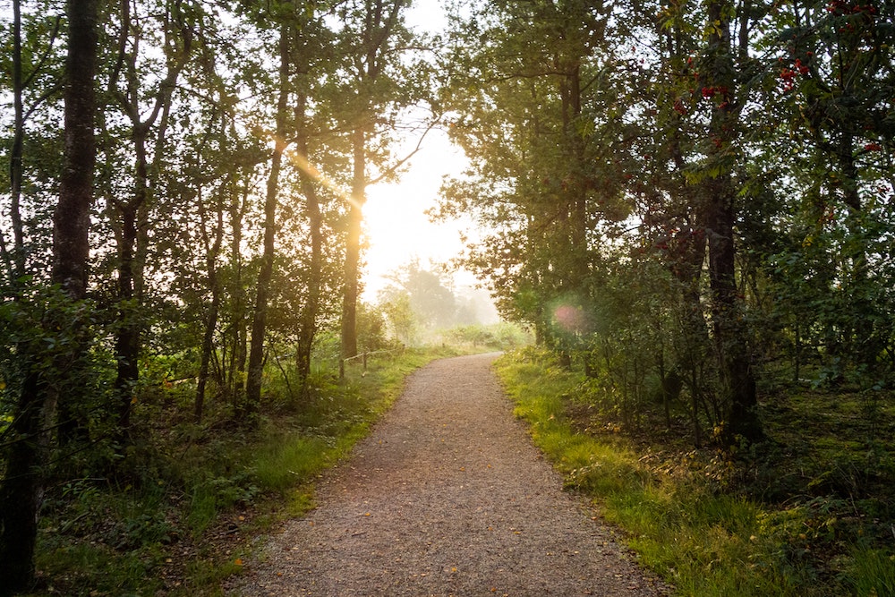 Oisterwijkse Vennen en Bossen