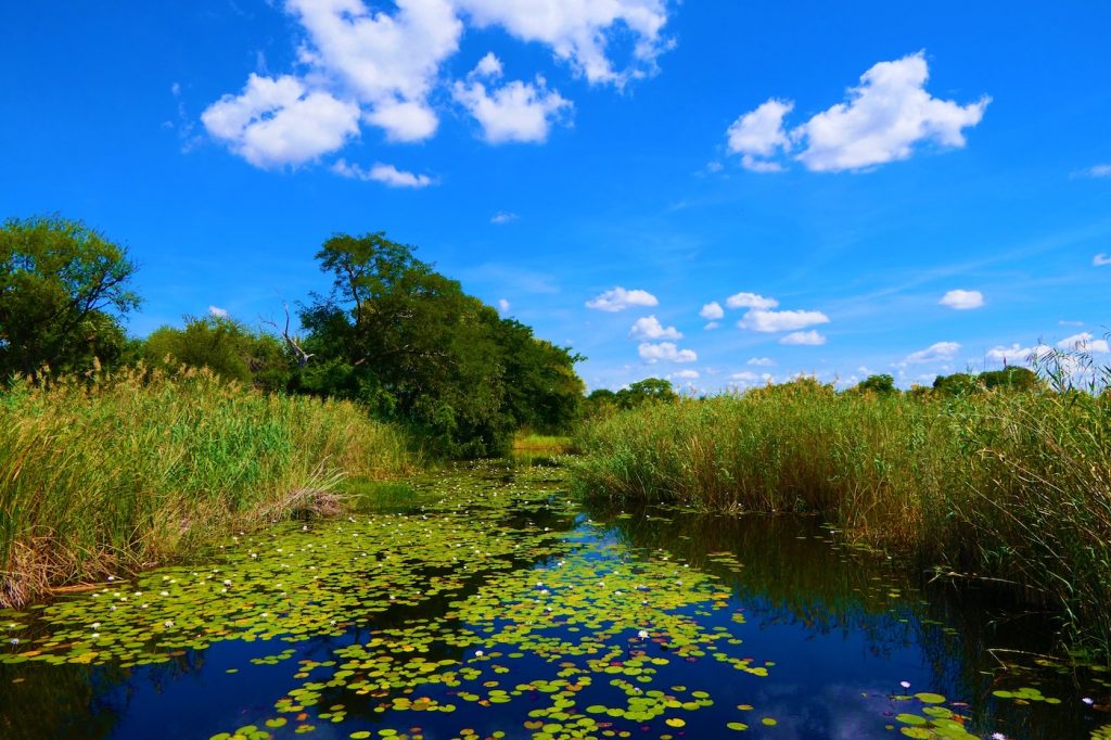 Okavango Delta Botswana