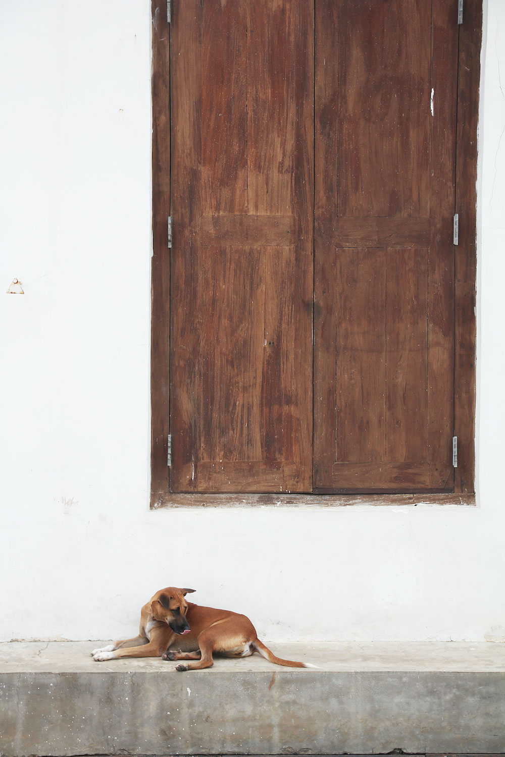 Old Dutch Hospital in galle