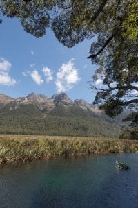 Onderweg naar Milford Sound rijden